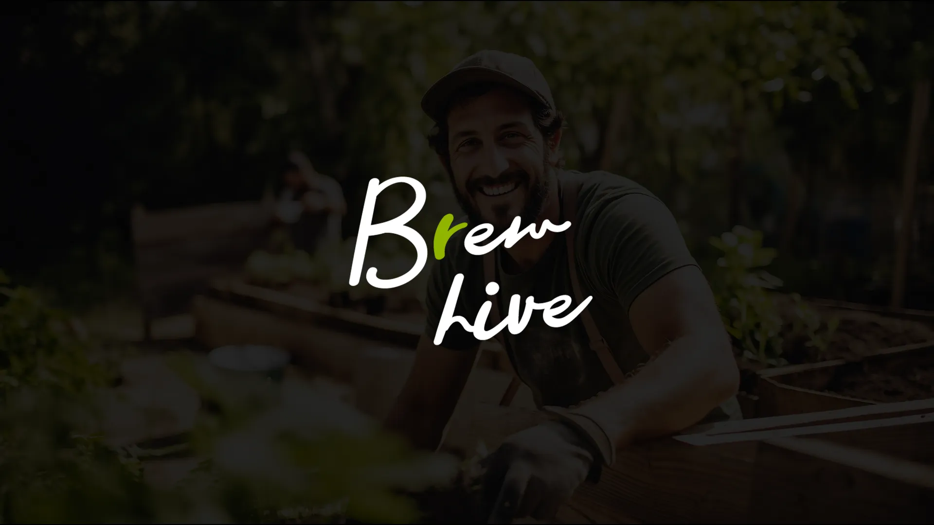Brew-Hive-01